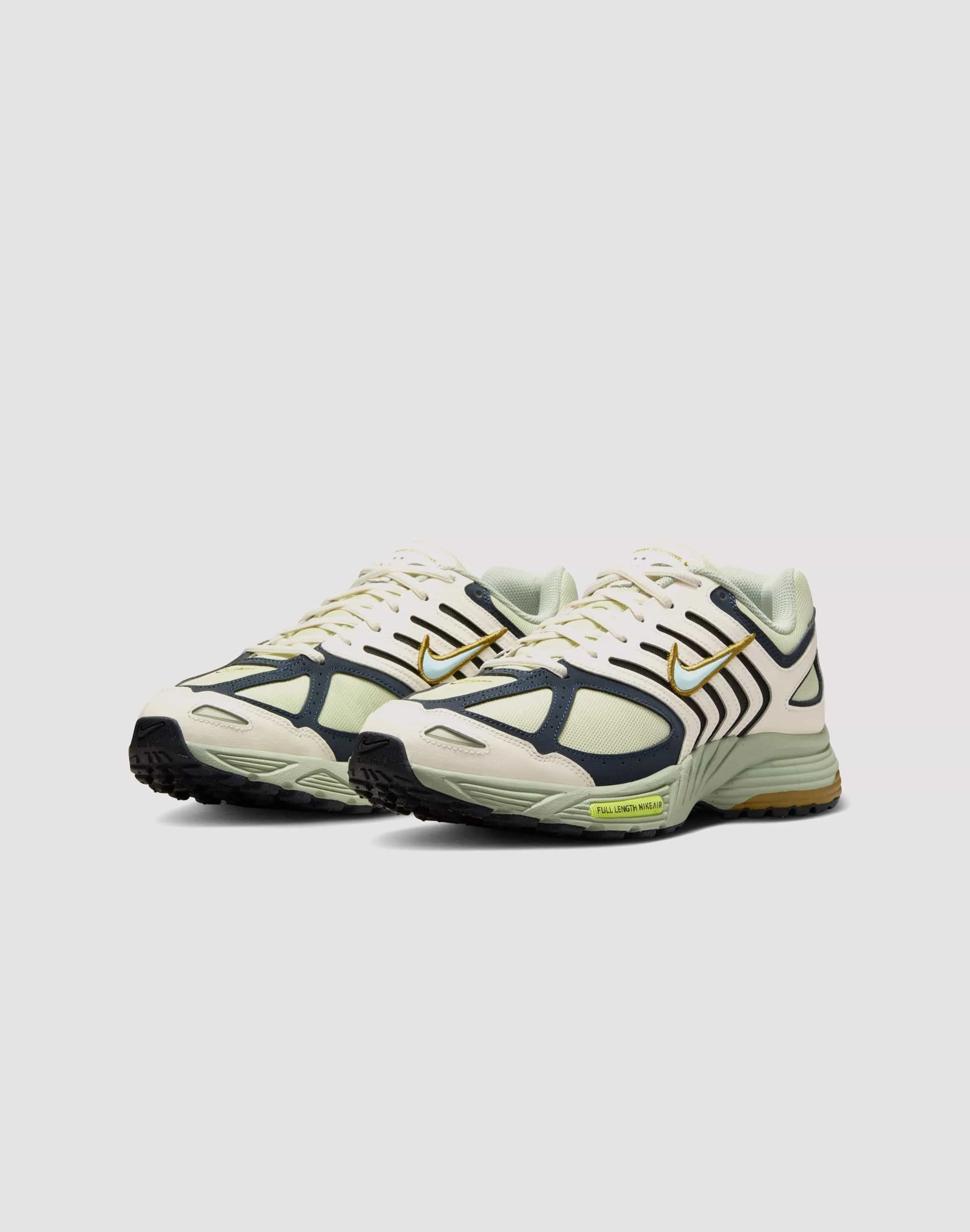 Fluidride Thermoplastic Webbing Nike Air Pegasus 2005