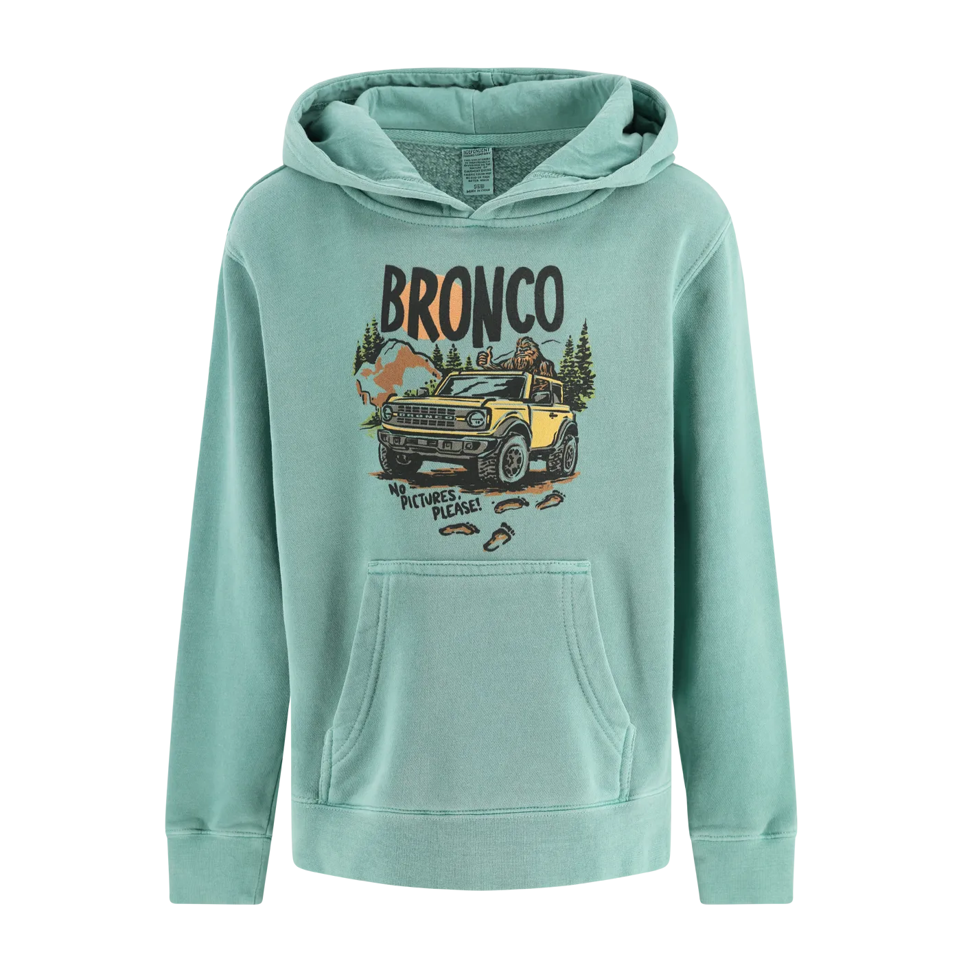 Ford Bronco Youth Sasquatch No Pictures Please Teal Hoodie Running Gear Weekend Casual