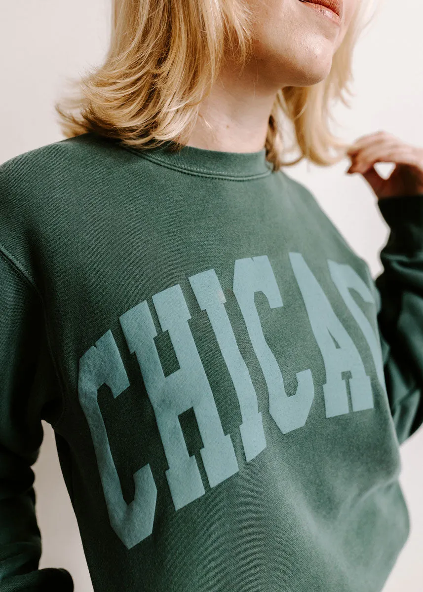 Chicago Collegiate Puff Sweatshirt - Alpine Warm Layers neon colors