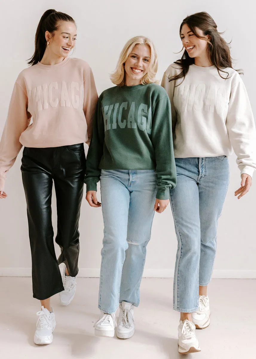 Warm Hoodie Chicago Collegiate Puff Sweatshirt - Alpine