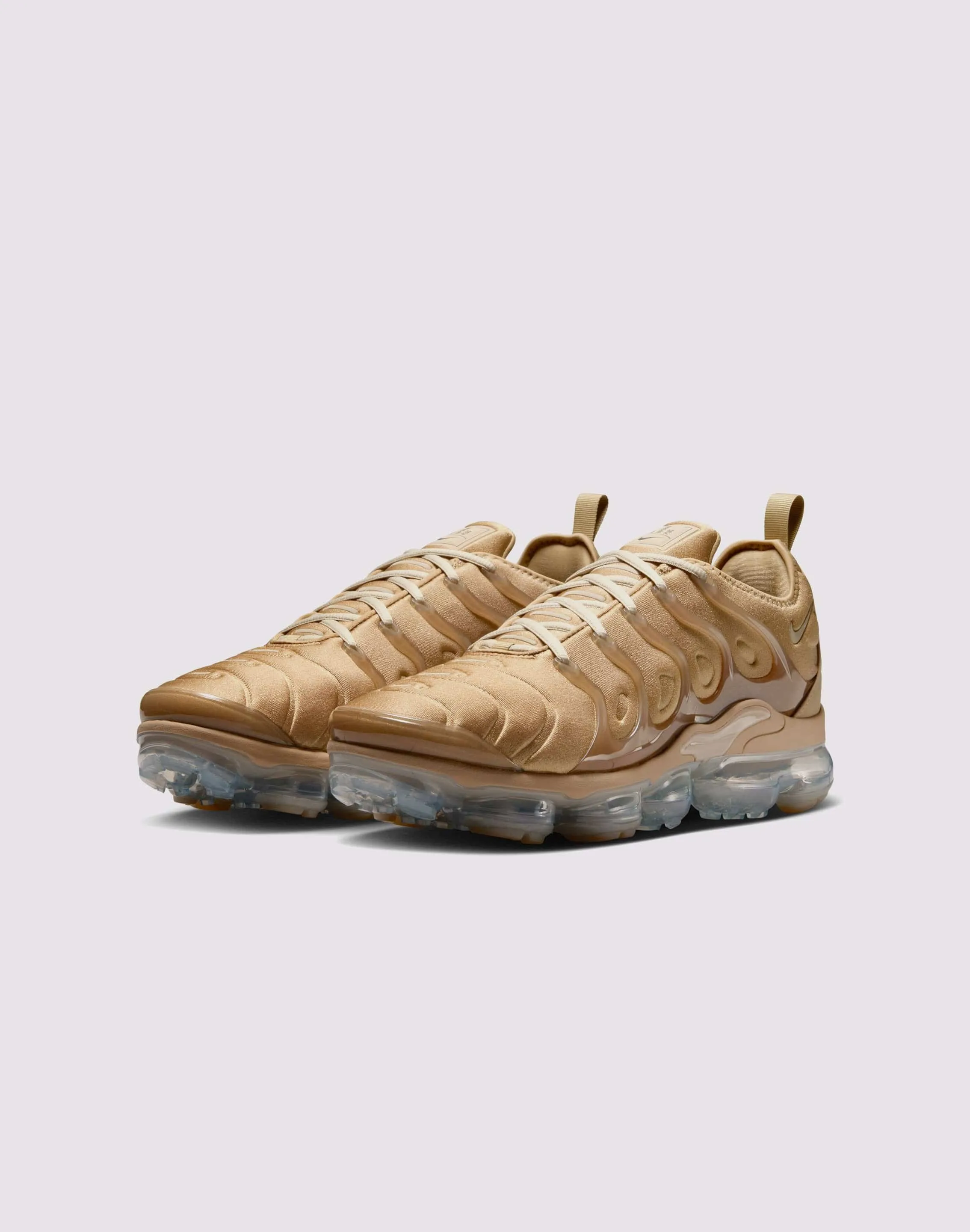 Perseverance Nike Air VaporMax Plus