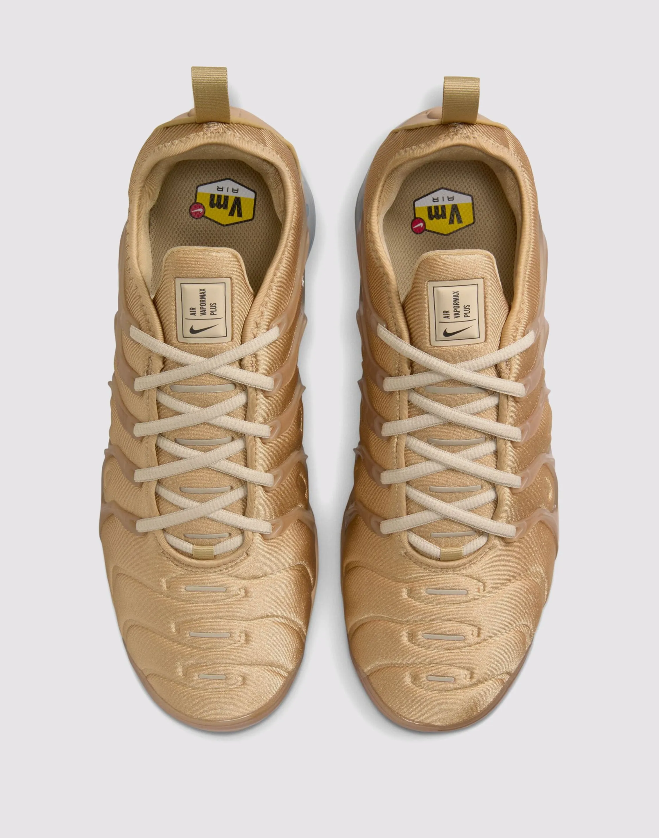 Nike Air VaporMax Plus Compression Web Frame beginner - appropriate shoes